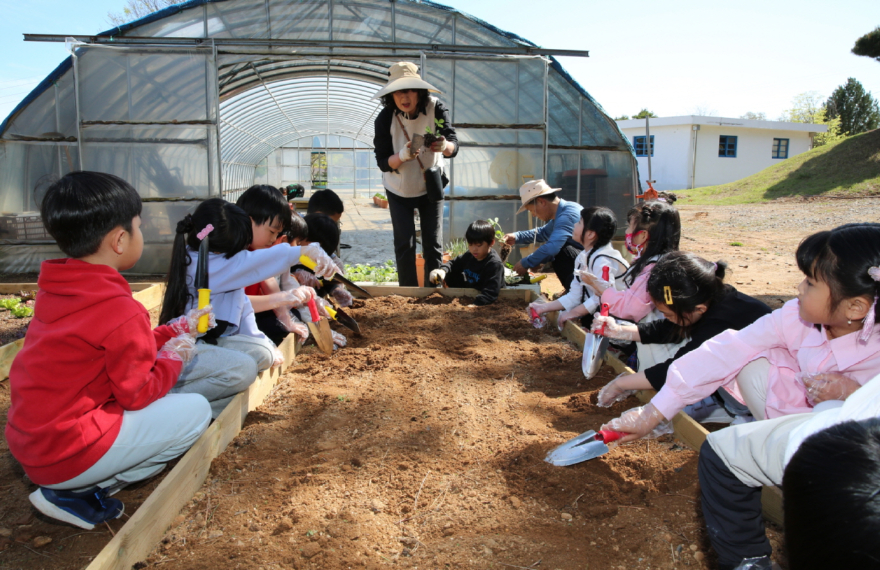4. 태안 늘봄학교 운영 1.JPG