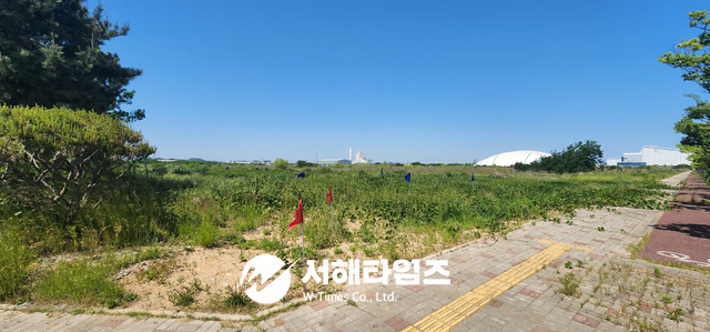 선광입주예정지.jpg