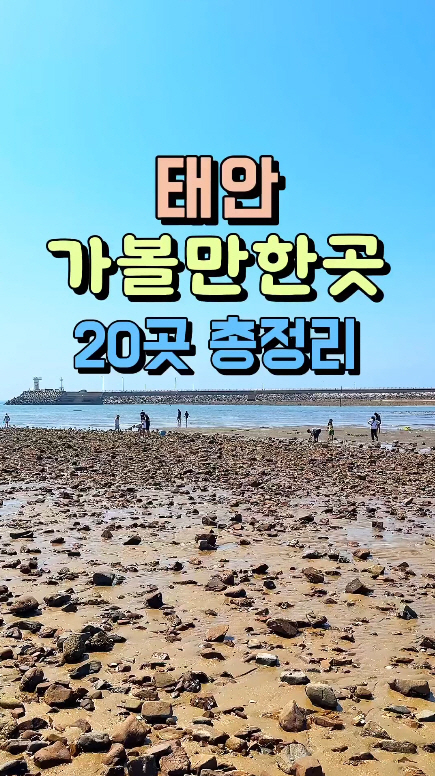 3. 숏폼영상 공모전.jpg