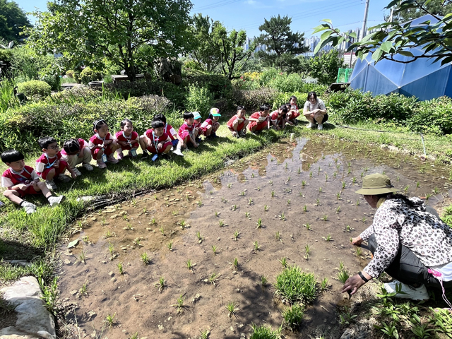 (사진3)상반기 어린이 농부학교1.jpg