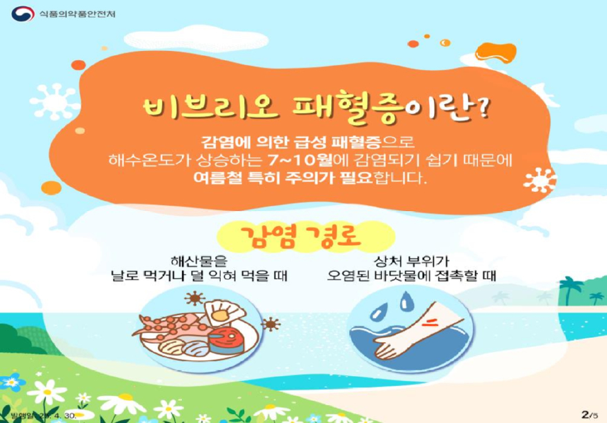 (사진3)비브리오패혈증 안내문.jpg