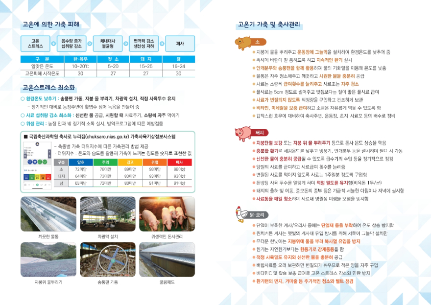 (사진3)폭염 대비 가축 관리요령2.jpg