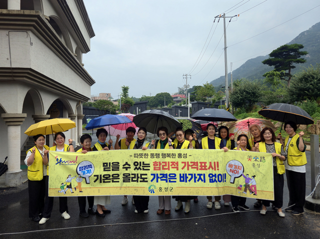 17일 (홍성군, 휴가철 피서지 물가안정 캠페인 시행).jpg