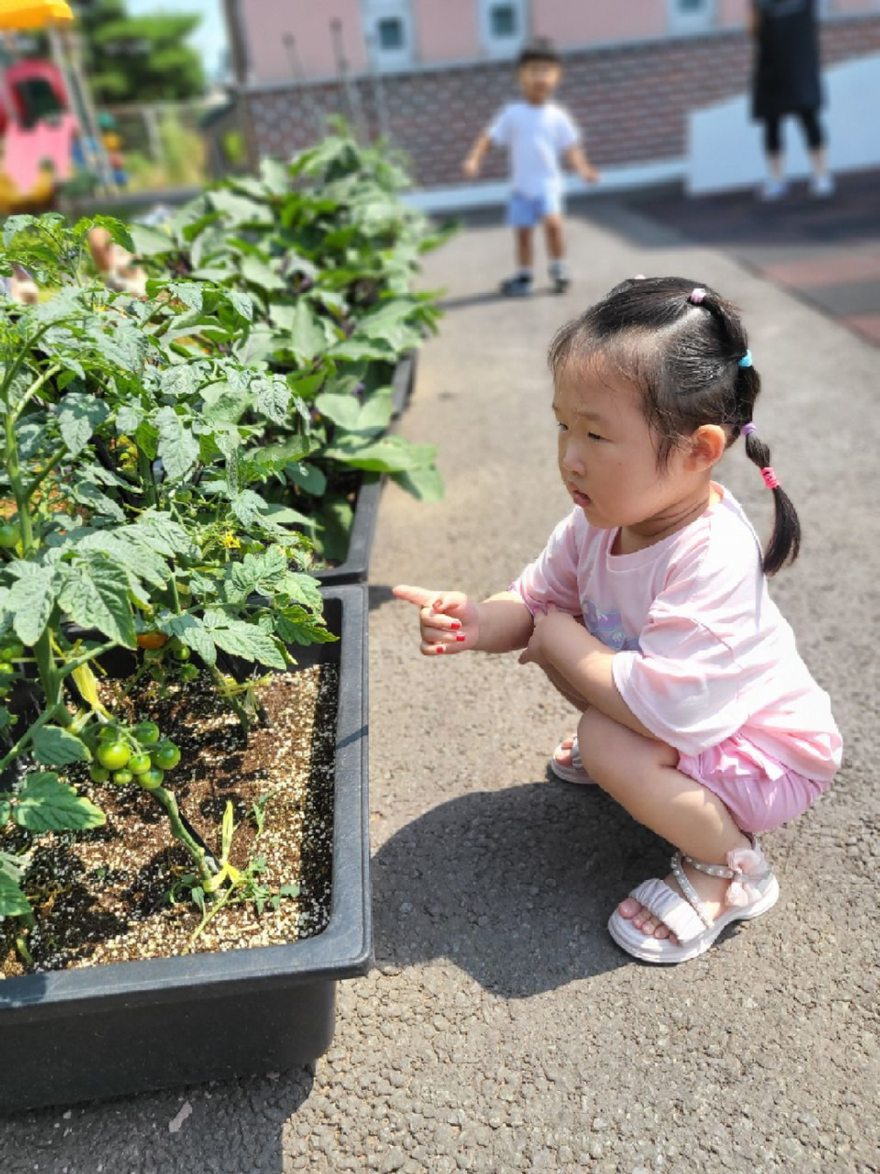 활동사진2.jpg