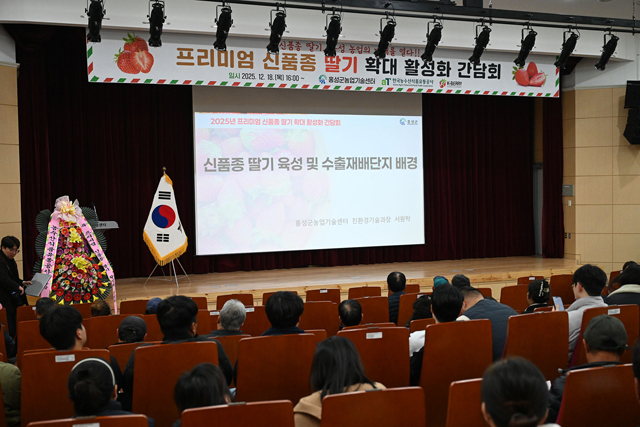 19일 (프리미엄 신품종 총집결...홍성, 차세대 딸기산업 날개 달다!).jpg