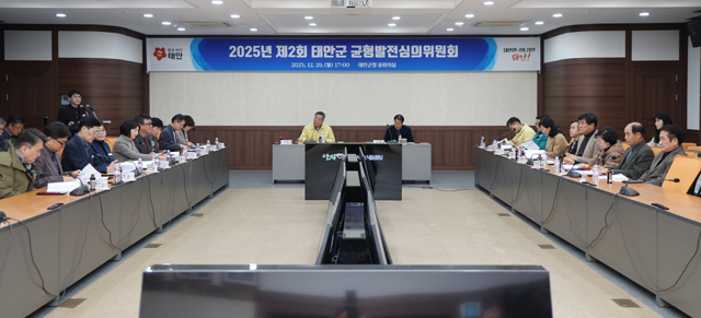 균형발전심의위원회 개최.JPG
