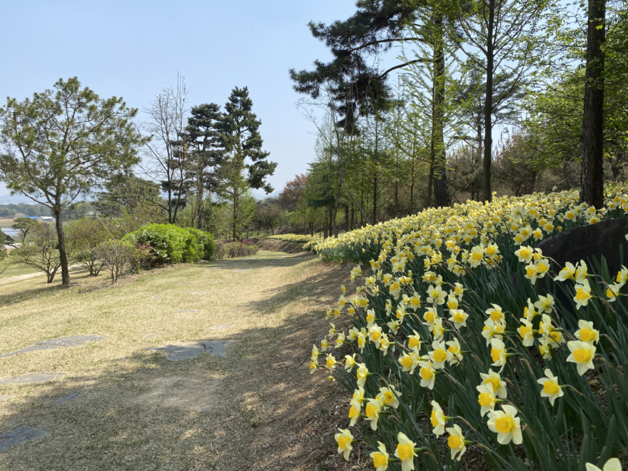 1.추사고택 전경 (3).JPG