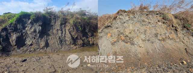 비교사진.jpg