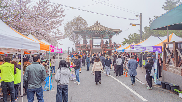 3. 옥마산 봄꽃축제 (1).jpg