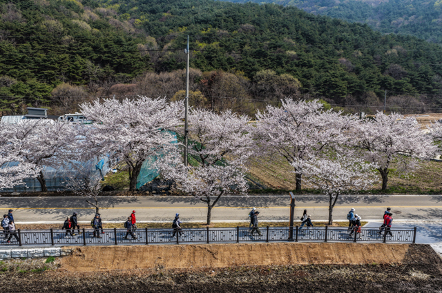 2.내포 가야산 봄맞이 걷기행사 사진 (2).jpg
