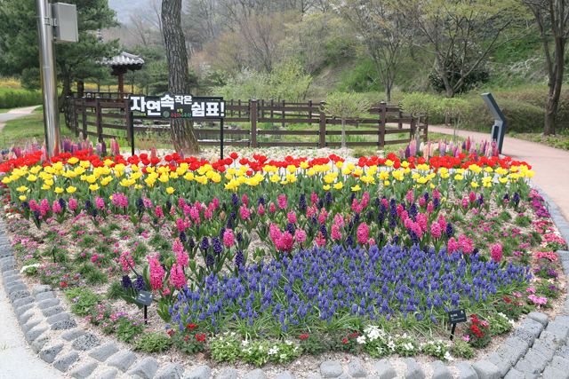 1. 무궁화수목원(4월 14일 기준) (3).jpg