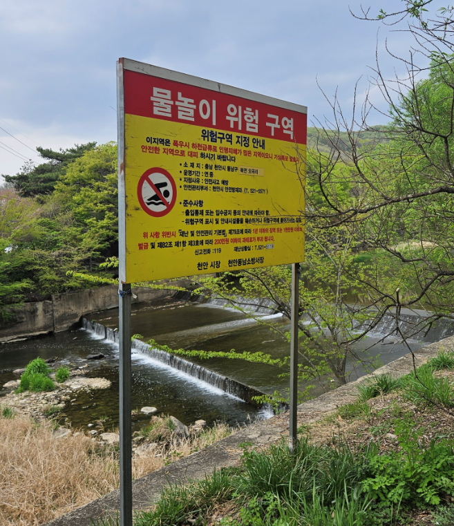 안전총괄과(물놀이 안전관리 대책기간) (2).png
