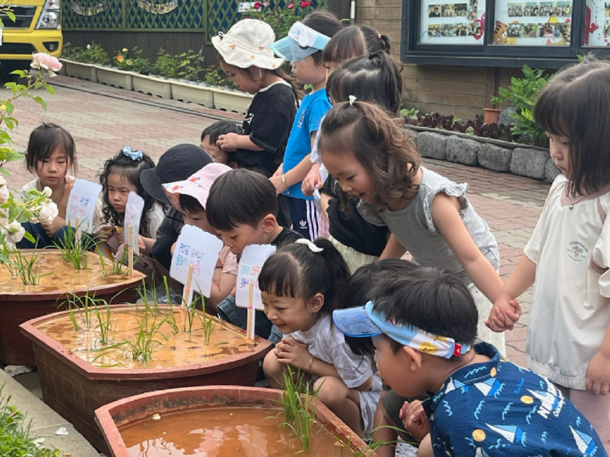 5일(홍성군, 미래 세대와 함께 친환경농업 가치 확산에 앞장선다2).jpg