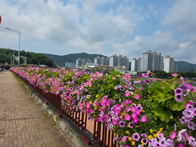 2. 꽃다리(신평교).jpg