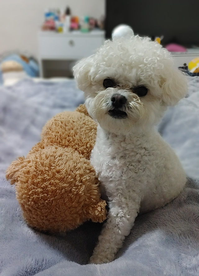 KakaoTalk_20260511_142439609.jpg