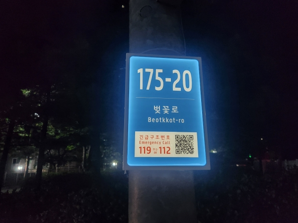 6.LED 기초번호판 벚꽃로175-20 (야).jpg