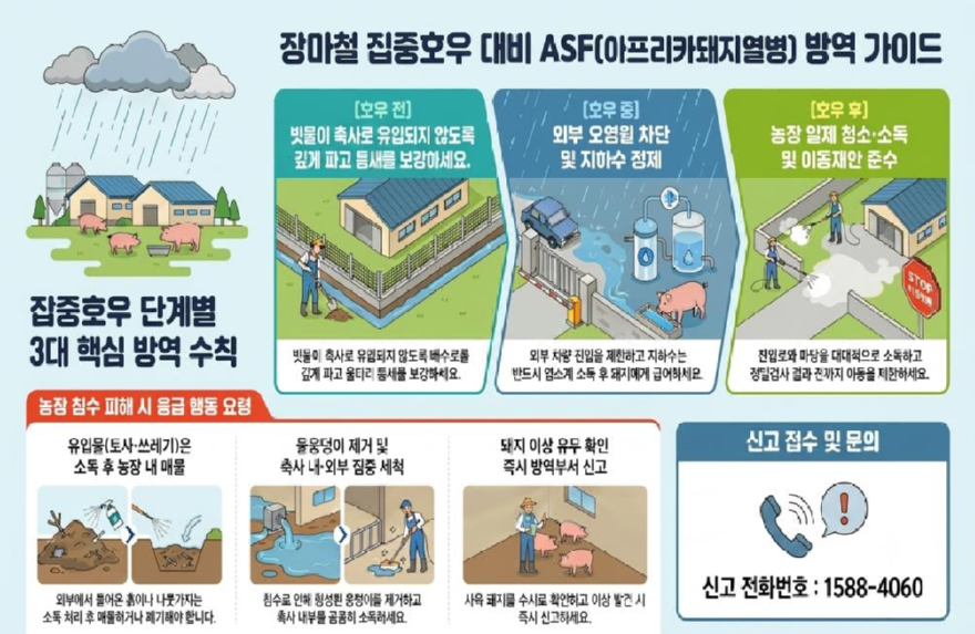 (사진2)장마철 아프리카돼지열병 방역 가이드.jpg