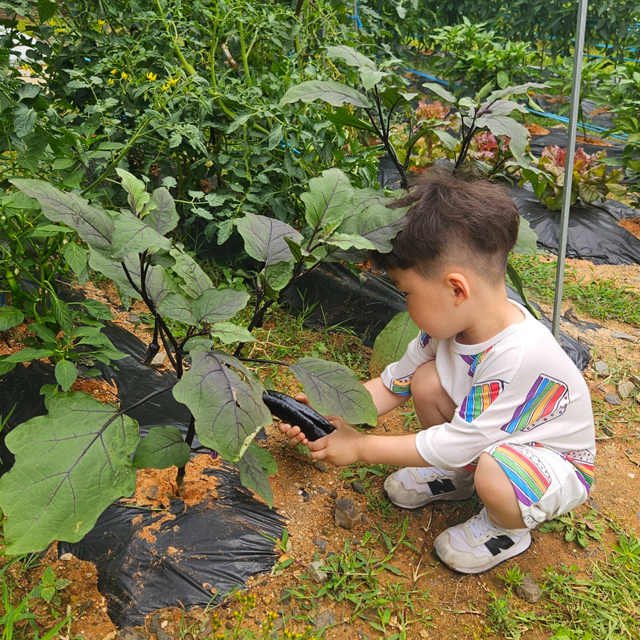 4. 푸드브릿지 사진 (2).jpg