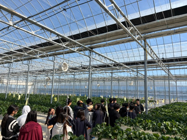 (사진4)학생4-H 스마트농업 실용교육(딸기농원).jpg
