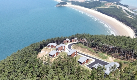 푸른 파도·황금빛 낙조 물든 명품 휴양림