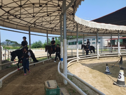 홍성군승마장, 충남인재개발원 승마과정 성료