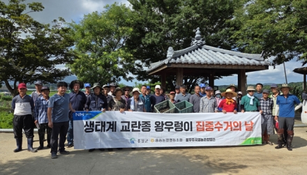홍성군, 왕우렁이 집중 수거의 날 행사 개최