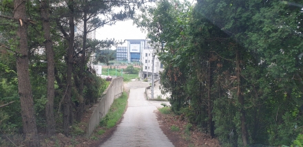 당진시, 세한대 앞 도시계획도로 7월 발주