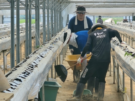 당진시 측량협의회·지역건축사회, 수해 복구 봉사 나서