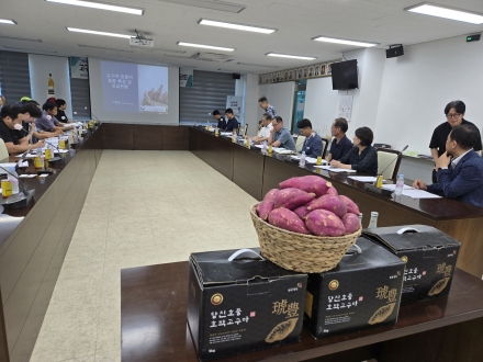 당진시, 농촌진흥청과 고구마 신품종 ‘호풍미’  유통 확대를 위한 현장 간담회 개최