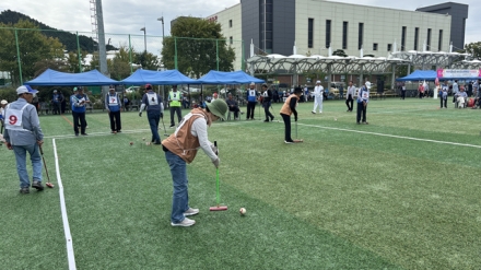 서산시, 제68회 대한노인회 성연면 분회장기 게이트볼 대회 성료