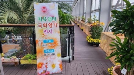 홍성군, 치유쉼터 ‘국화향기 전시 ’ 운영