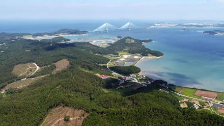 20.8km 걸으며 가로림만 해상교량 건설 염원