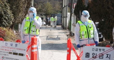 충남 당진서 아프리카돼지열병 발생…13일 새벽 1시까지 일시이동중지