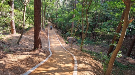 당진시, ‘도심 속 건강 쉼터’ 맨발 산책로 전면 개방