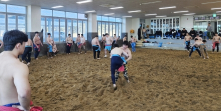 태안군, 씨름 훈련 유치로 '지역상권·경기력' 모두 잡았다!