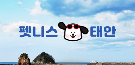 태안군, 반려견과 함께 떠나는 ‘펫니스 댕댕투어’ 본격 운영