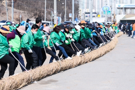 당진시, 2026 기지시줄다리기 축제 위한 큰 줄 제작