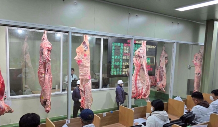 홍성한우, 홍콩 수출 본격화...글로벌 시장 공략 나서