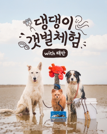 태안군, 반려동물 동반 ‘병술만 갯벌 체험 프로그램’ 운영
