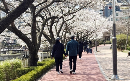 서산시, 비만 예방 걷기 챌린지 성료