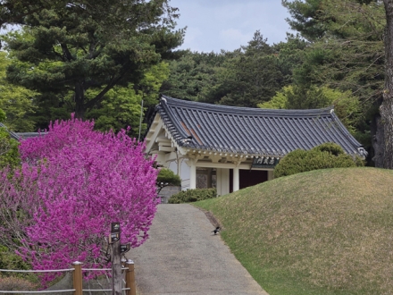예산군 윤봉길의사기념관, 94주년 상하이 의거 기념 앞두고 ‘봄꽃 향연’