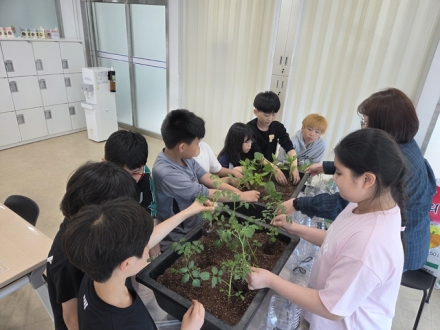 보령시청소년방과후아카데미, 보령시어린이·사회복지급식관리지원센터와 ‘꼬마농부의 채소 기르기’ 운영