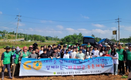 당진시, 합덕읍 새마을지도자협의회‧부녀회, 감자 나눔 봉사 펼쳐