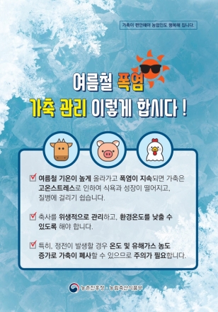 당진시, 여름철 축산농가 폭염 피해 예방 총력