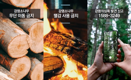 예산군, ‘소나무 한 그루’ 이동도 살핀다… 재선충병 확산 차단 나서