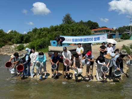 아산시, 토종 수산자원 회복 위해 뱀장어·참게 57만 마리 방류