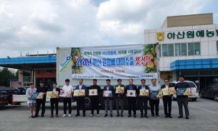 아산시 아산배, 2026년산 첫 미국 수출길 올라…수출 확대 본격화