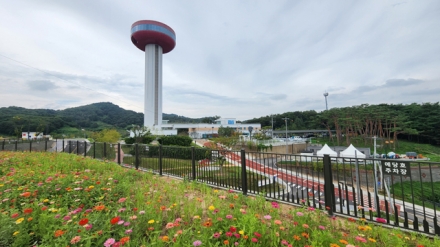 예산군, 삭막했던 예당호 주차장 인근 백일홍 ‘활짝’