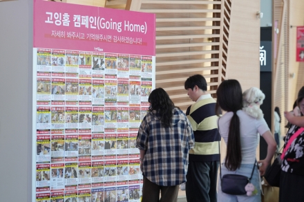반려동물과 함께하는 가을 나들이…'마이펫페어 2026 일산 Part 2' 28일 개막