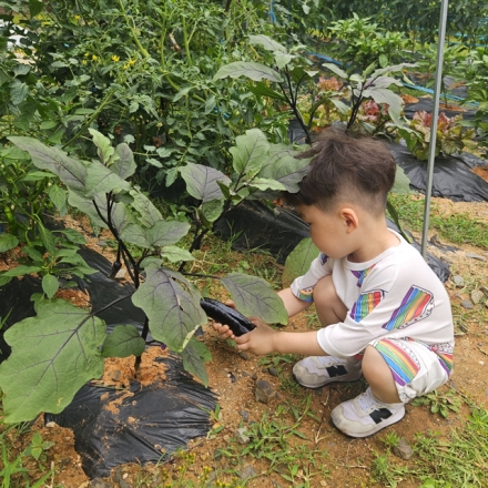 보령시 어린이·사회복지급식관리지원센터, 제12회 푸드브릿지 체험·교육 프로젝트 성료